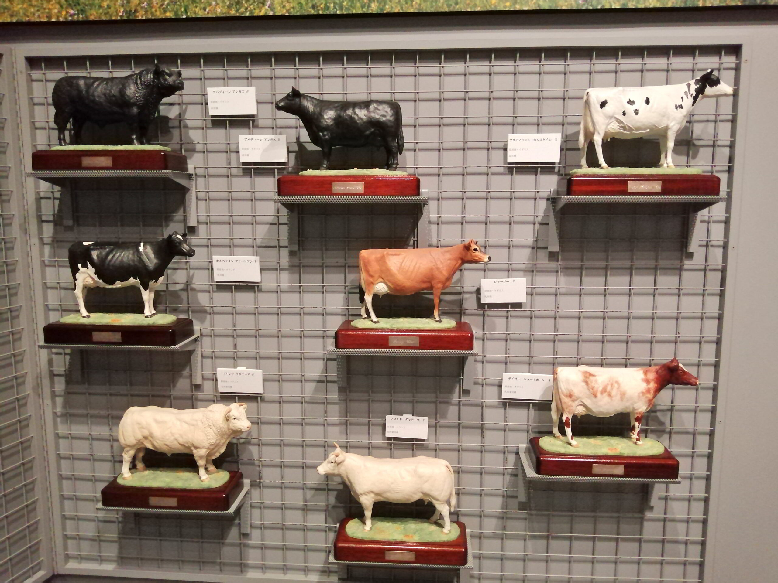Bmw日本一周46日目 岩手県奥州市の 牛の博物館 に行って来ました 島根のお ちゃんブログ